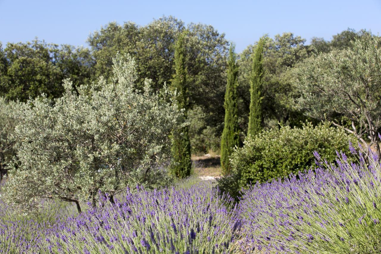 La Cle Des Champs, Boutique Hotel & Spa - Le Mas De Garrigon Roussillon en Isere Εξωτερικό φωτογραφία